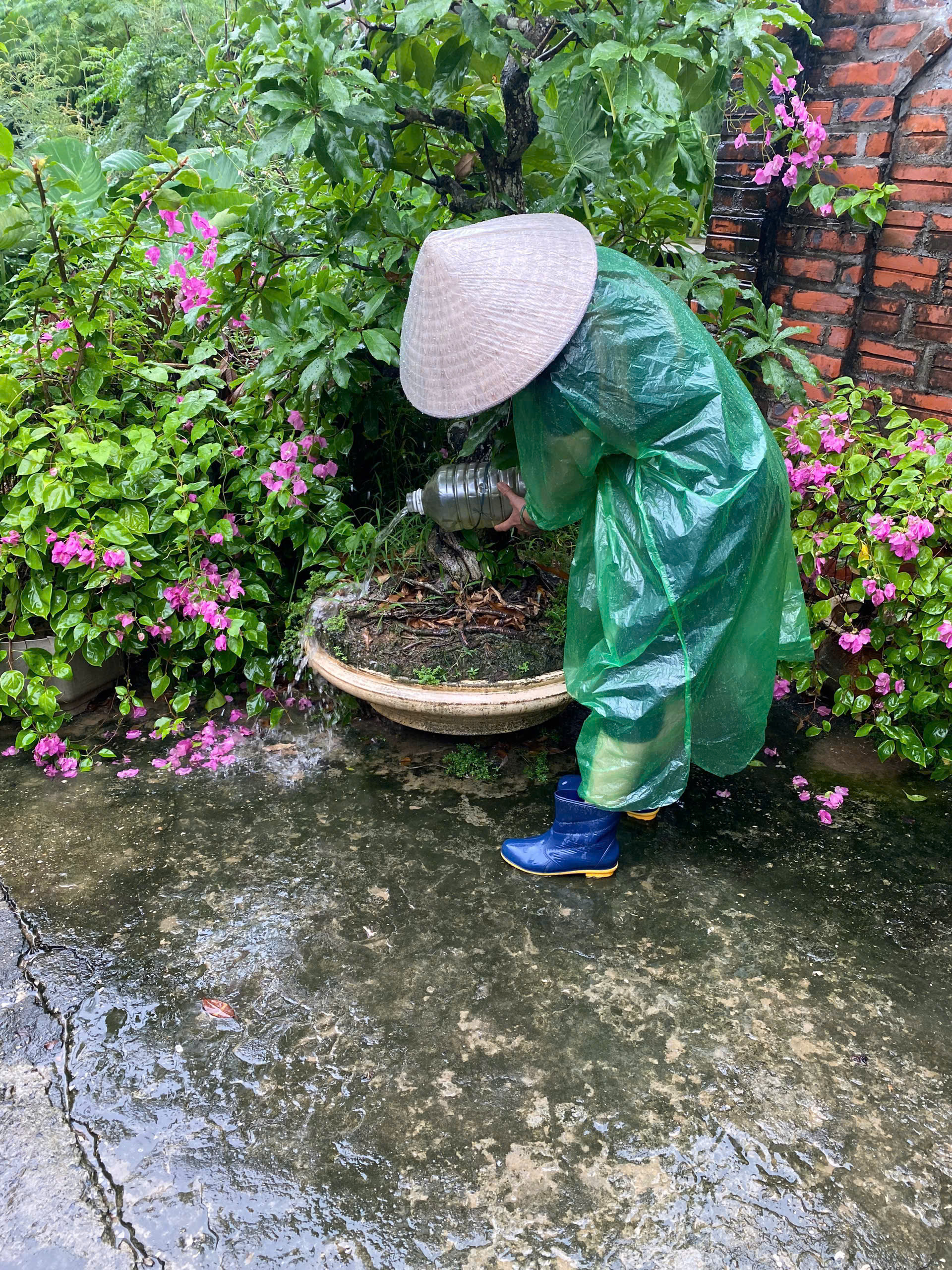Hạ Bằng triển khai chiến dịch tổng vệ sinh môi trường, diệt bọ gậy chủ động phòng, chống sốt xuất huyết đợt 4 năm 2026